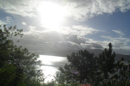 deenysss's profile picture. 