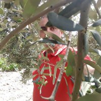 Mehmet (@mehmet45319951) Twitter profile photo