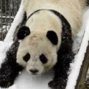 Dane Simmons - @DaneSimmons - Twitter