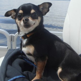 JLR_Ziskov's profile picture. Suicide Prevention Crisis Counselor, photographer, social entrepreneur, evangelist of wide-awake-living; also - horrific dancer & fashion failure.