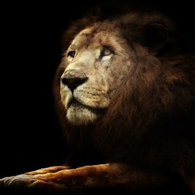 maulikcode's profile picture. #webdeveloper