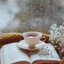 BookSomeTea1's profile picture. Lezen is een lifestyle! Daarom blog ik over boeken, lezen, de bibliotheek en thee.