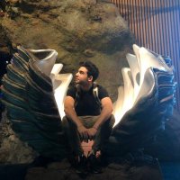 Manuel Alanís (@alanisb97m) 's Twitter Profile