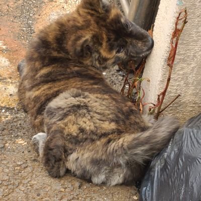 XuAOOP3pQgB2o7S's profile picture. 다온테크