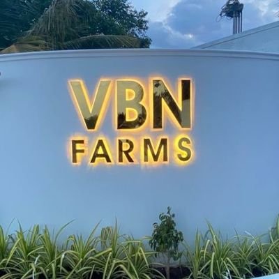 VBNFARMS's profile picture. 