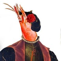 Vasco da Gamba (@vascodagamba_xv) 's Twitter Profile Photo Vasco da Gamba (@vascodagamba_xv) 's Twitter Profile Photo