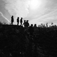 YRDSB EcoSchools (@yrdsbecoschools) 's Twitter Profile