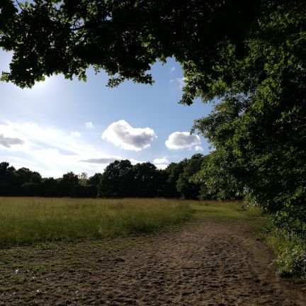 MissBrownCompSc's profile picture. computer science teacher
cat lady