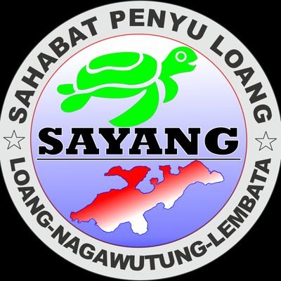 all my writing is dedicated to turtle conservation. let's become turtle friends together and protect our sea