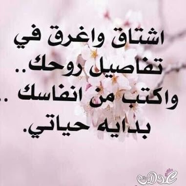 aXZqwASDbPdTJCy's profile picture. 