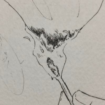 森の中さんのプロフィール画像
