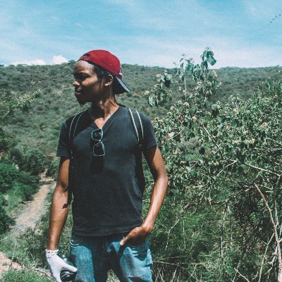 KipGems's profile picture. Mining Engineer. Full Stack Developer. Writer.