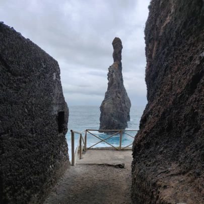 ManuelF41924411's profile picture. supervisor