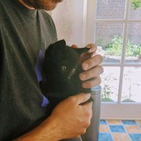 Erik Veld (@erikveld) 's Twitter Profile