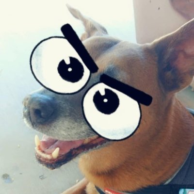 Vince_DeVito's profile picture. Live the life you Love
Love the life you Live