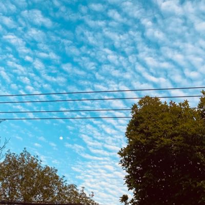 qit71214437's profile picture. 
