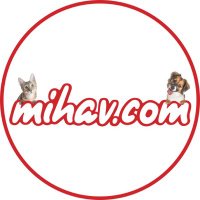 Mihav.com (@mihavcomtr) 's Twitter Profile Photo Mihav.com (@mihavcomtr) 's Twitter Profile Photo