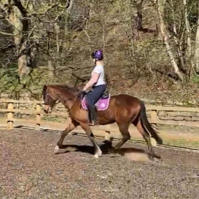 Fran616's profile picture. GP, mum, horse rider & Bradford Bulls supporter. Not necessarily in that order!