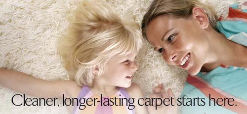Sears Steam cleaners are efficient carpet cleaners that work better than any other cleaning devices today. It doesn't use cleaning chemicals.