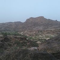 ابوقصي (@asalem04) Twitter profile photo