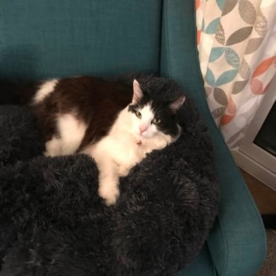 AndrewM35209870's profile picture. 