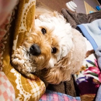 酸素さんのプロフィール画像