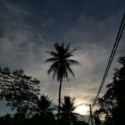 CRpiT5iarasvBM5's profile picture. Trusted only;)