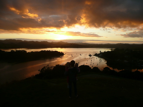 SamHarrowfield's profile picture. 