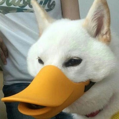 Sjalvdistans's profile picture. 🇸🇪 living in 🇯🇵 I do not condone the actions of the Swedish government or the Swedish judiciary system.

Father.