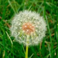 Fernandaaa_7's profile picture. 