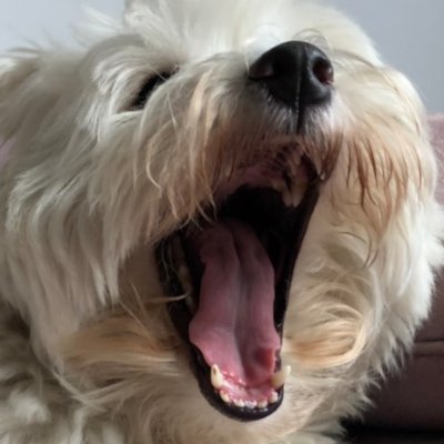 Clunse's profile picture. There must be an easier way