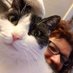 Donna ๐บ๐ธ๐ฎ๐ฑ๐บ๐ธ (@dfarren) Twitter profile photo Donna ๐บ๐ธ๐ฎ๐ฑ๐บ๐ธ (@dfarren) Twitter profile photo