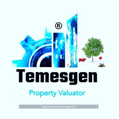 Temesgen Property Valuator™