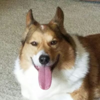 kingstu81's profile picture. 