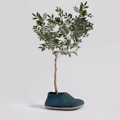 Treekind is a new kind of material: A remarkably leather-like material that is 100% plant-based, recyclable, compostable, and estimated to be carbon-negative.