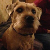 NeilMckt (@neilmckt) 's Twitter Profile