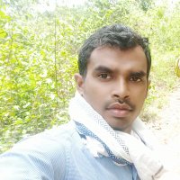 DEVASHISH YADAV (@devashi11150536) 's Twitter Profile