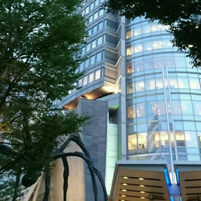 時々来てチェックだけ。多忙のため、RTもいいねもほとんどしません。ツイートはあくまでも個人の見解であり所属先とは関係ありません。