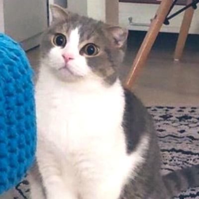 IdszFOpyEMHOSkB's profile picture. ชอบอ่านๆๆๆๆ