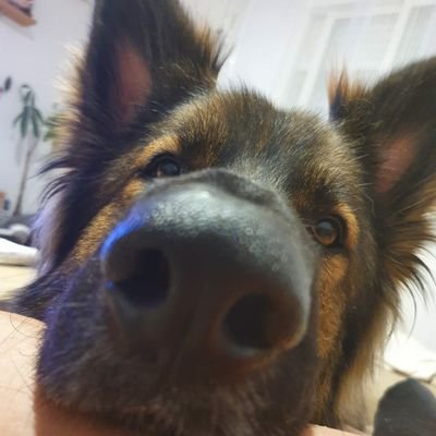 ATJIS23's profile picture. 