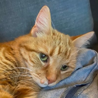 Kelseyyy_Bee's profile picture. 