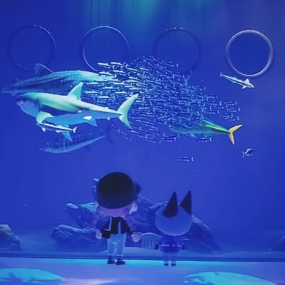 ahiru_1004's profile picture. lesbianよりのpansexualです👭🌈大阪住み香港人00👩🏻
あつ森💕ゼルダ🧝🏻‍♂️ピクミン👽スプラトゥーン🐙🦑オバケイドロ👻
장원영💞🐰あやひろ🐇🦌
Carat💎🐶🖤カメ🐢
wonhui😺😼美しい彼👑🍫🐥びーえる👬