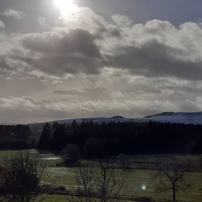 davie_sj's profile picture. 