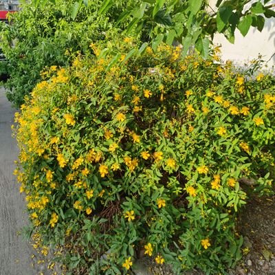 Jasonneuf1's profile picture. 