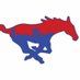 Parkland Mustangs WBB (@wbbmustangs) Twitter profile photo Parkland Mustangs WBB (@wbbmustangs) Twitter profile photo