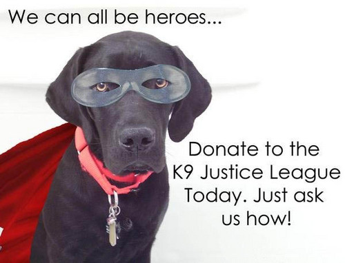 Foster home based dog rescue in Hampton Roads, Virginia. 501(c)(3) non-profit organization. Help change a dog's life today. We can all be heroes!