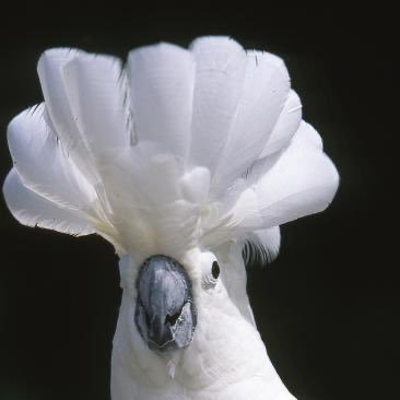 NunYaTheFirst's profile picture. 