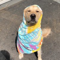 BailKat hoooooo (@baileydray) 's Twitter Profile Photo