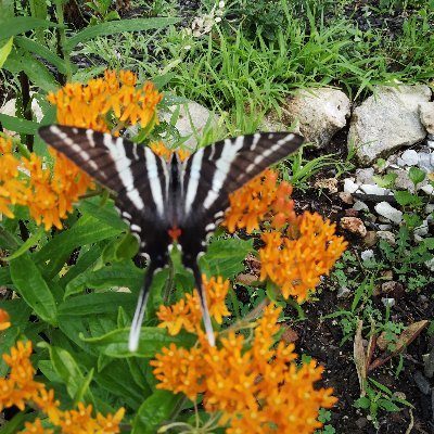 MsDiorMinx's profile picture. 