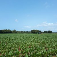 Arthur Lalonnier (@arthurlalonnier) 's Twitter Profile Photo